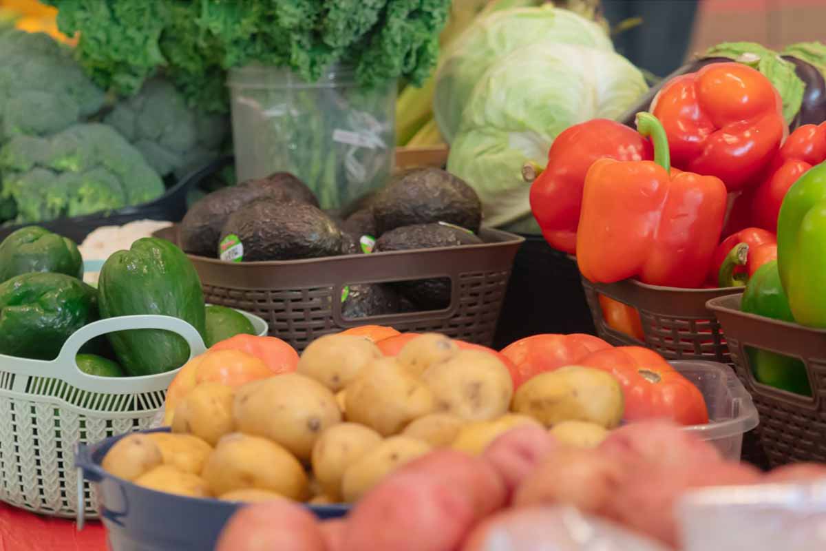 Medicaid Scientific  Technical Assistance  Program